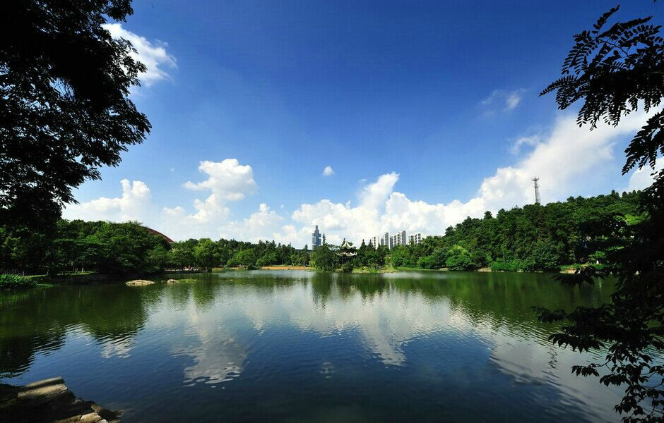 贵阳观山湖区城市公园景观铺装工程实景图片