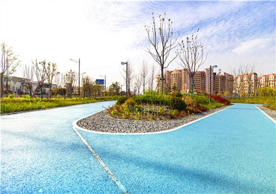 透水地坪 生态透水胶结地坪实拍图片