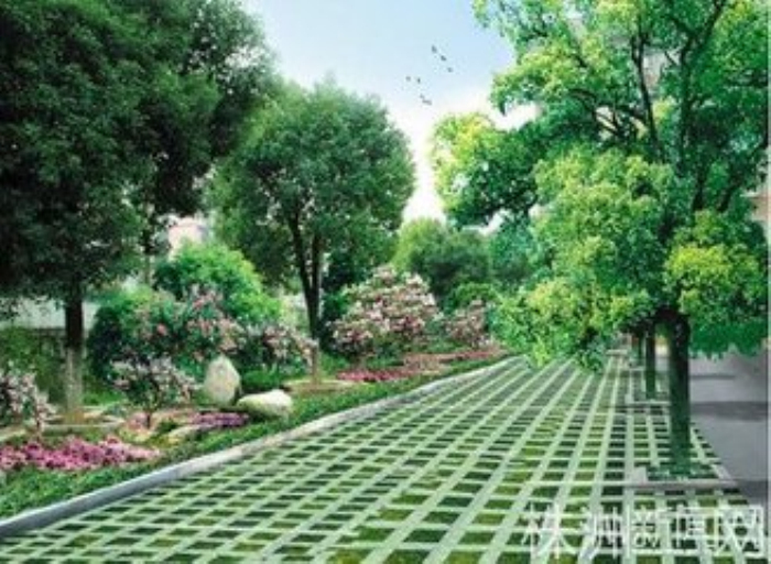 植草地坪 生态透水植草砖实拍图片